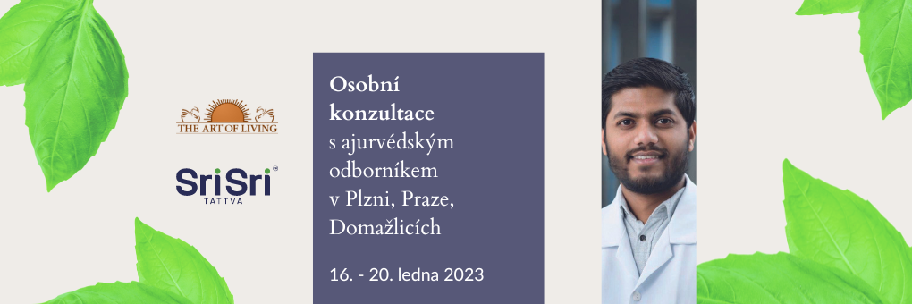 na web - Osobní konzultace s aurvédským odborníkem v Plzni (1).png