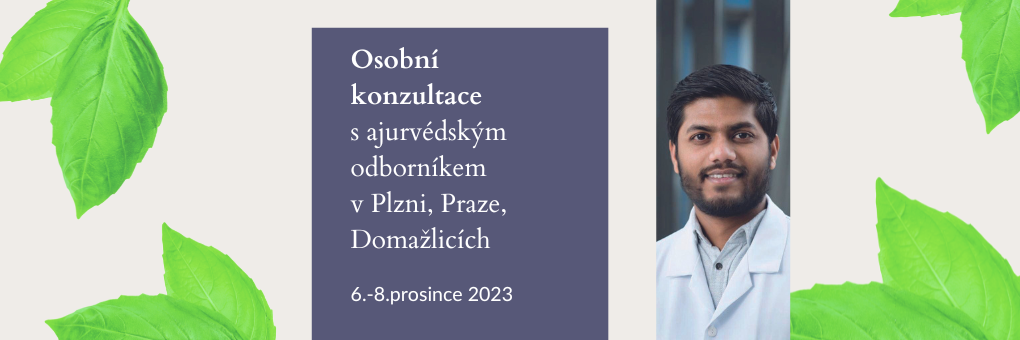 Copy of Osobní konzultace s aurvédským odborníkem v Plzni (2).png